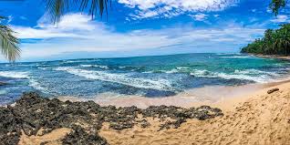 Image result for cahuita costa rica