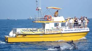 Image result for Adventure Dolphin