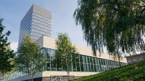 Image result for University of Sheffield Ultimate- Phat 'eds