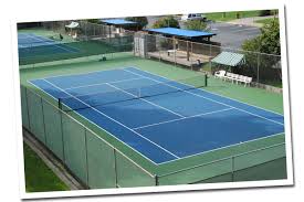 Image result for Meadow Sports Badminton Club