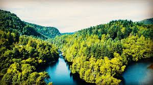 Image result for Nae Limits