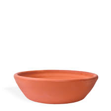 Image result for bacía