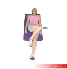 Attēlu rezultāti vaicājumam “Cribraria piriformis”