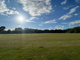 Image result for Chulmleigh & Mid Devon Cricket Club