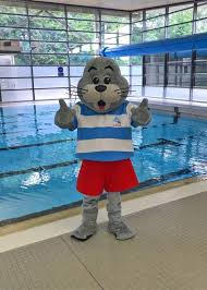 Image result for Walsall Artistic Swimming Club
