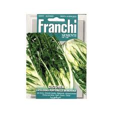 Image result for Chicorée