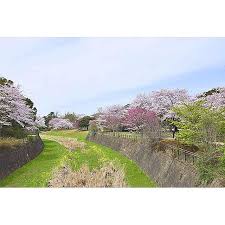 Image result for 東大和市立野3丁目〈中古〉西武拝島線「玉川上水」駅徒歩14分　2路線利用可能　2025年8月リフォーム完成予定　3LDK　全居室ウォシュレット付　商業施設充実
