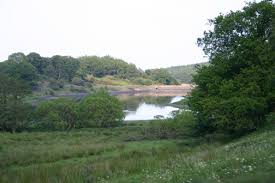 Image result for Beckwithshaw Badminton Club