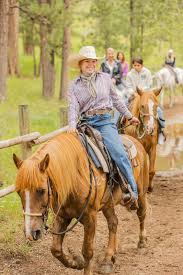 Image result for Palmers Riding Stables