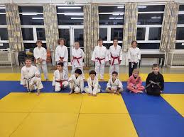 Image result for Felixstowe Judo club