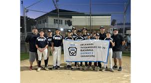 Image result for Elmbridge Girls` Little League