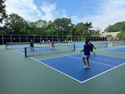 Image result for PICKLEBALL GORLESTON