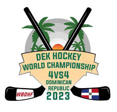 Image result for Ballymena Vandals