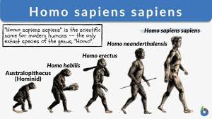 Image result for genus