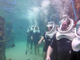Image result for Underwater Adventures