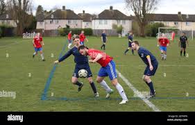 Image result for Old Wokingians Football Club