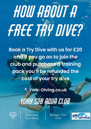 Image result for York University Sub Aqua Club