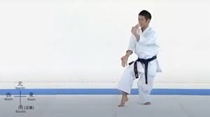 Image result for GoJu-Kai Karate Club
