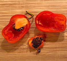 Afbeeldingsresultaat voor red rocoto hot pepper