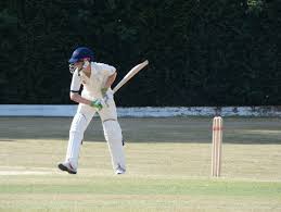 Image result for Ifield Cricket Club