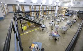 Attēlu rezultāti vaicājumam “juvenile”