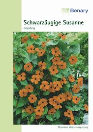 Image result for schwarzäugige Susanne