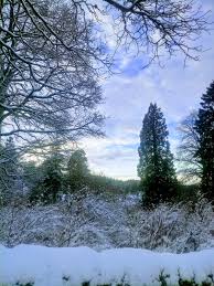 Image result for Skiing and Boarding at Allenheads