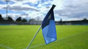 Image result for Parnells Gaelic Football Club