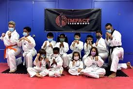 Image result for New Milton Taekwondo Club