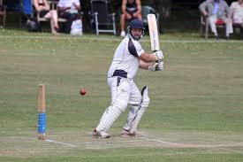 Image result for Shillingstone Cricket Club