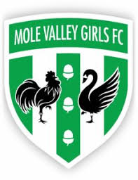 Image result for Bookham Football Club