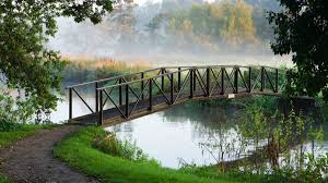 Image result for Weybridge Angling