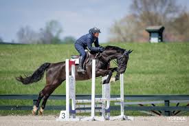 Image result for Fisher Equestrian