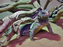 Image result for Reptilian egypt
