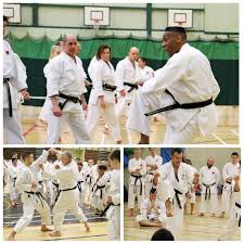 Image result for TIVERTON SHOTOKAN KARATE CLUB