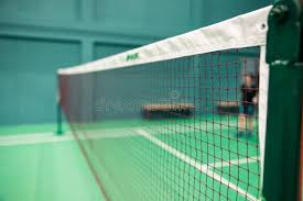 Image result for Sandringham Close Badminton Club