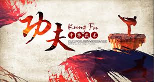 Image result for kung fu