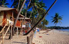 Image result for goa beaches