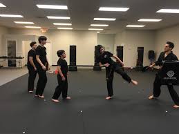 Image result for Vision Martial Arts