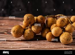 Image result for Lansongammon