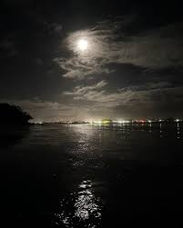 Image result for Parophrys vetulus