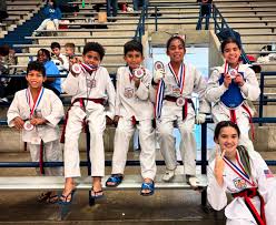 Image result for Bytomic Tae Kwon Do Windsor