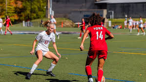 Image result for York University Futsal Club