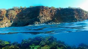 Image result for Uwe Canoe Club