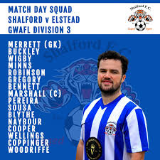 Image result for Shalford F C