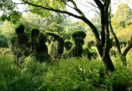 Image result for Priona Tuinen