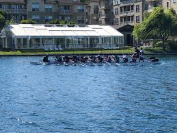 Image result for Bay Dragons CC