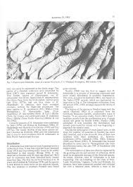 Attēlu rezultāti vaicājumam “Hypocreopsis lichenoides”