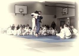 Image result for Holbrook Judo Club