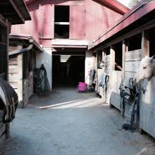 Image result for Annandale Equestrian Centre